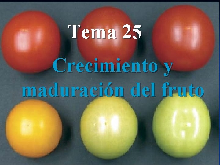 Tema 25 Crecimiento y maduración del fruto 