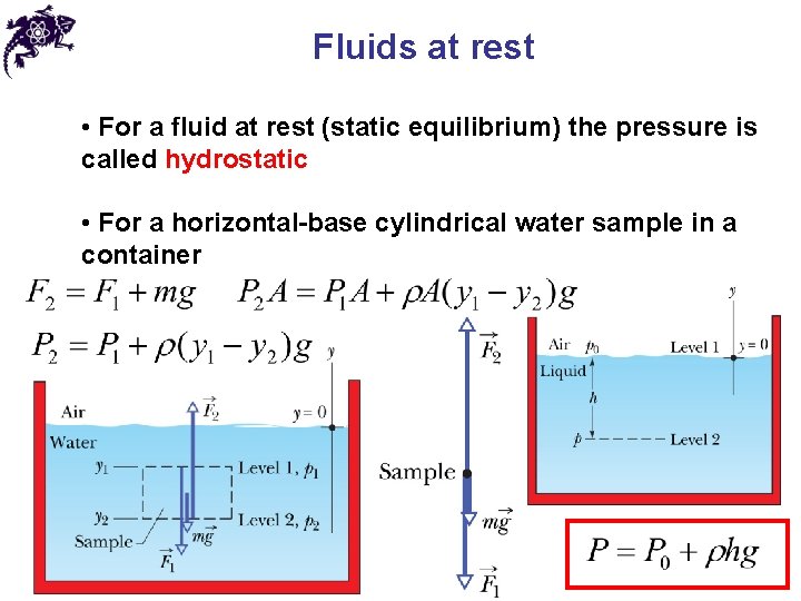 Fluids at rest • For a fluid at rest (static equilibrium) the pressure is