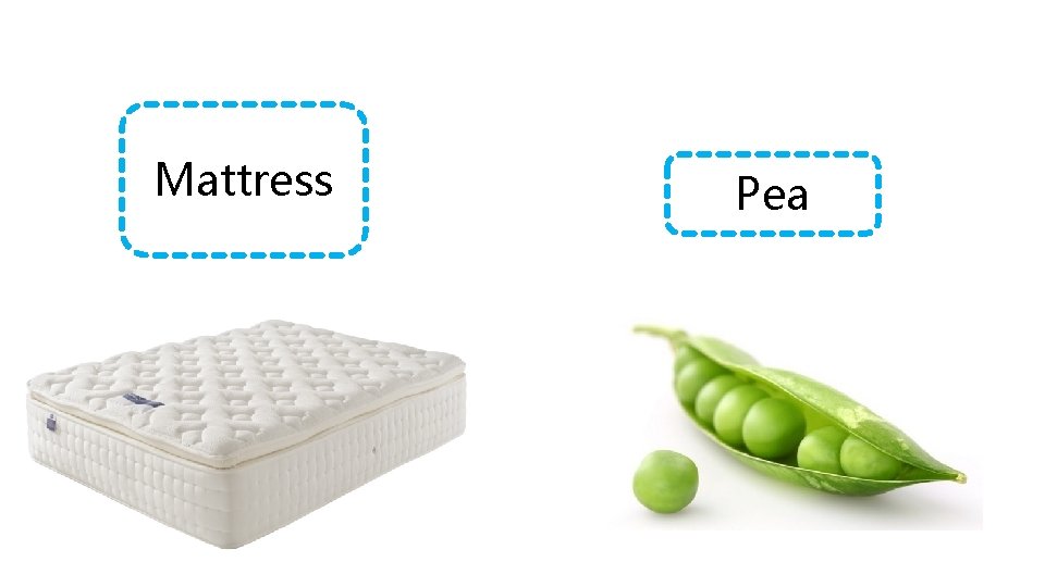 Mattress Pea 