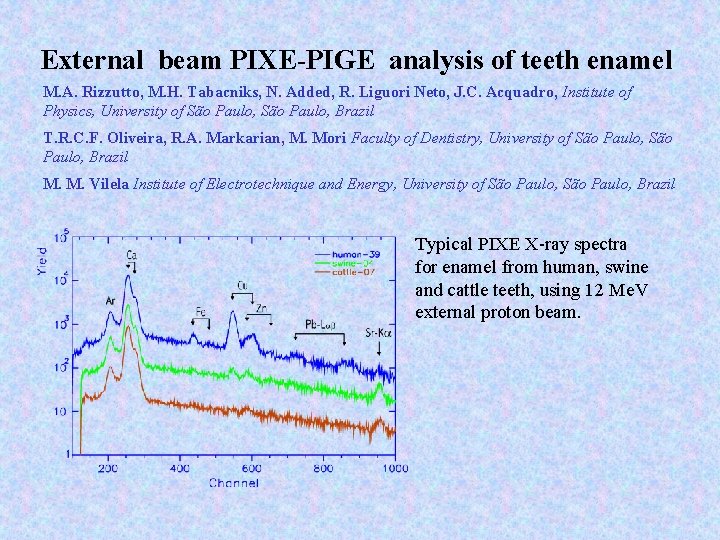 External beam PIXE-PIGE analysis of teeth enamel M. A. Rizzutto, M. H. Tabacniks, N.