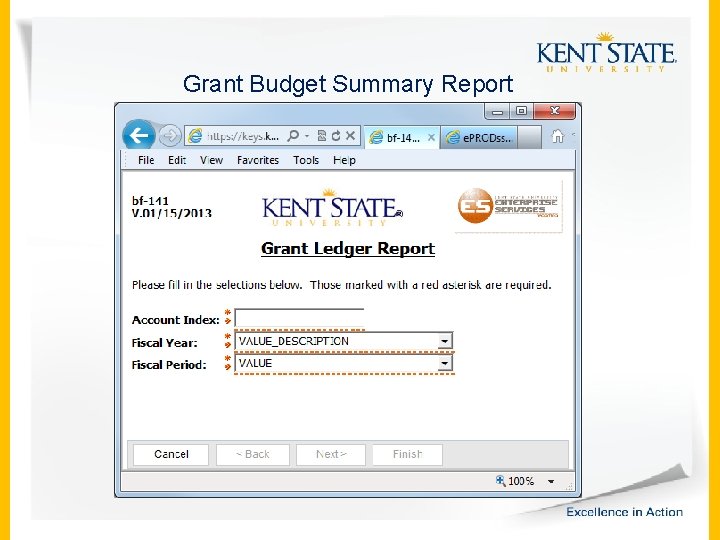 Grant Budget Summary Report 