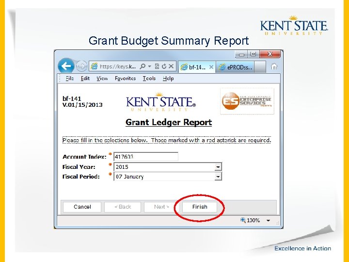 Grant Budget Summary Report 