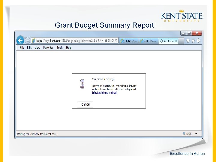 Grant Budget Summary Report 