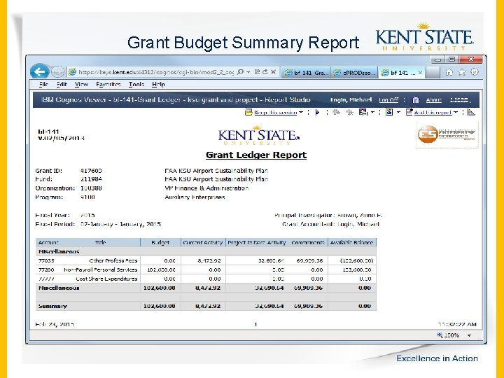 Grant Budget Summary Report 