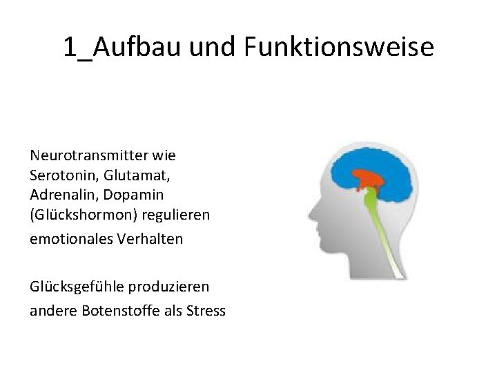 1_Aufbau und Funktionsweise Neurotransmitter wie Serotonin, Glutamat, Adrenalin, Dopamin (Glückshormon) regulieren emotionales Verhalten Glücksgefühle