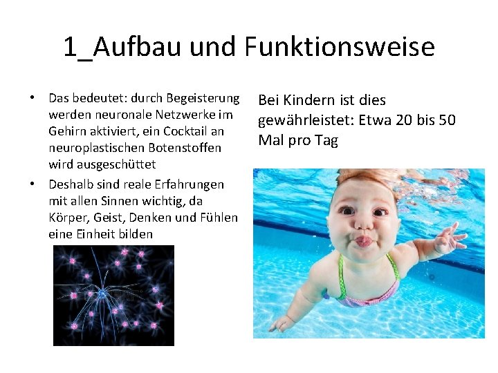 1_Aufbau und Funktionsweise • Das bedeutet: durch Begeisterung werden neuronale Netzwerke im Gehirn aktiviert,