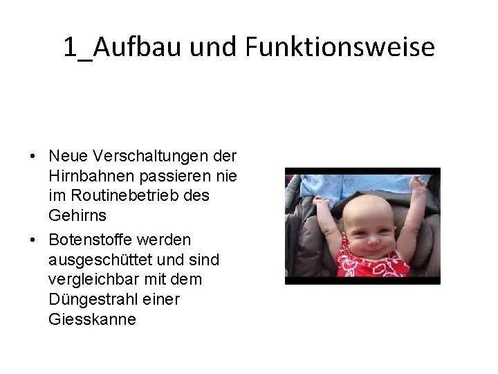1_Aufbau und Funktionsweise • Neue Verschaltungen der Hirnbahnen passieren nie im Routinebetrieb des Gehirns