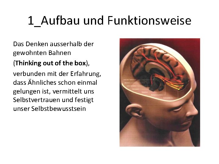 1_Aufbau und Funktionsweise Das Denken ausserhalb der gewohnten Bahnen (Thinking out of the box),