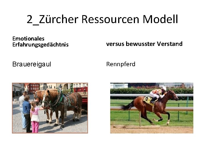 2_Zürcher Ressourcen Modell Emotionales Erfahrungsgedächtnis versus bewusster Verstand Brauereigaul Rennpferd 