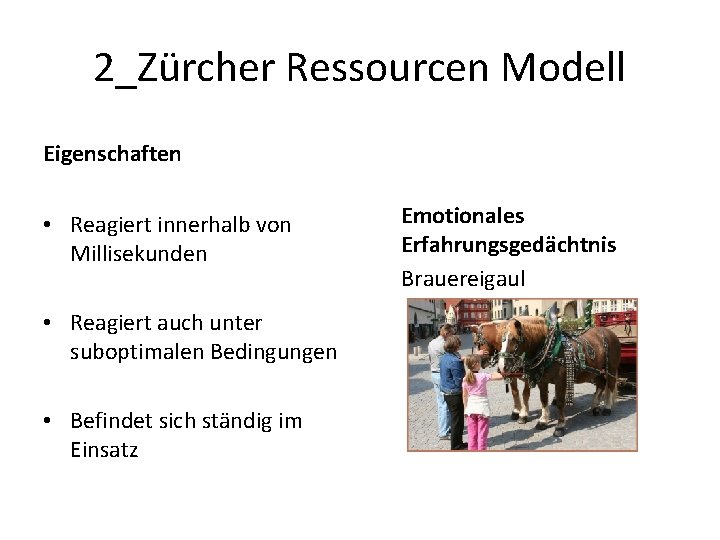 2_Zürcher Ressourcen Modell Eigenschaften • Reagiert innerhalb von Millisekunden • Reagiert auch unter suboptimalen