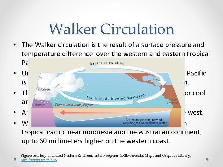 Walker Circulation • The Walker circulation is the result of a surface pressure and