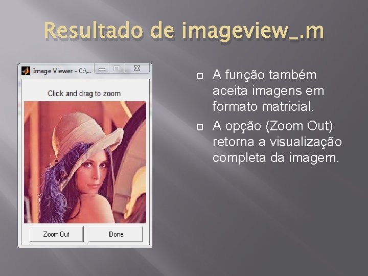 Resultado de imageview_. m A função também aceita imagens em formato matricial. A opção