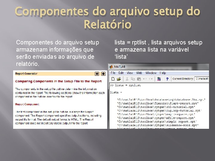 Componentes do arquivo setup do Relatório Componentes do arquivo setup armazenam informações que serão