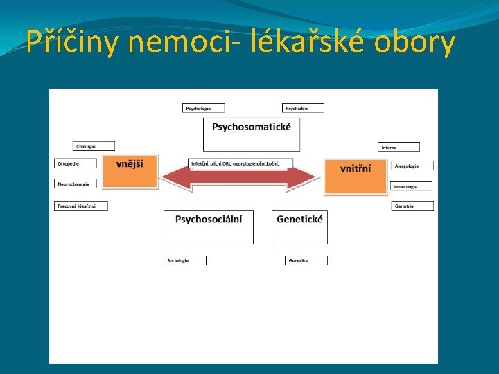 Příčiny nemoci- lékařské obory 