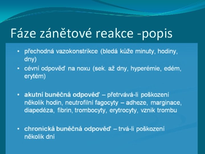 Fáze zánětové reakce -popis 