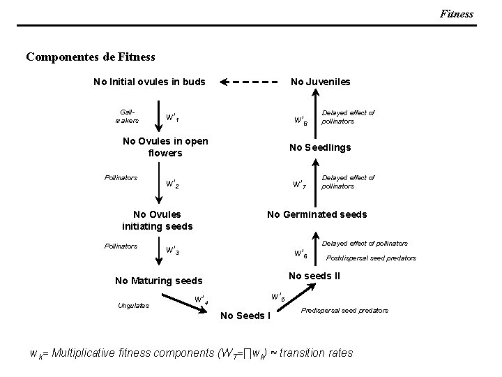 Fitness Componentes de Fitness No Juveniles No Initial ovules in buds Gallmakers w’ 1 Fitness Componentes de Fitness No Juveniles No Initial ovules in buds Gallmakers w’ 1