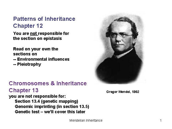 Patterns of Inheritance Chapter 12 You are not responsible for the section on epistasis