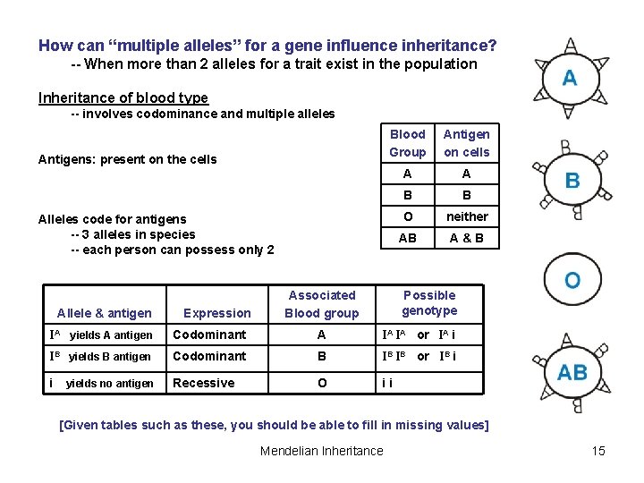 How can “multiple alleles” for a gene influence inheritance? -- When more than 2