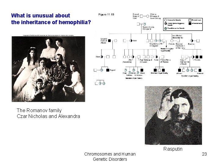 What is unusual about the inheritance of hemophilia? The Romanov family Czar Nicholas and