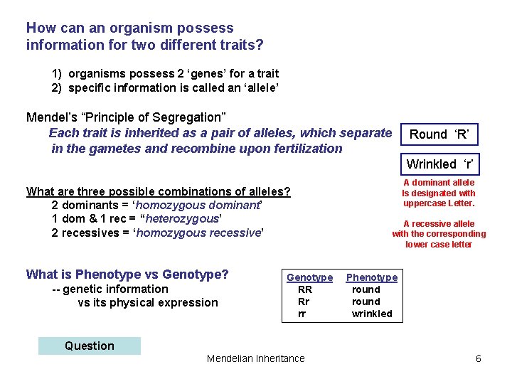 How can an organism possess information for two different traits? 1) organisms possess 2