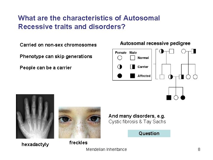 What are the characteristics of Autosomal Recessive traits and disorders? Carried on non-sex chromosomes