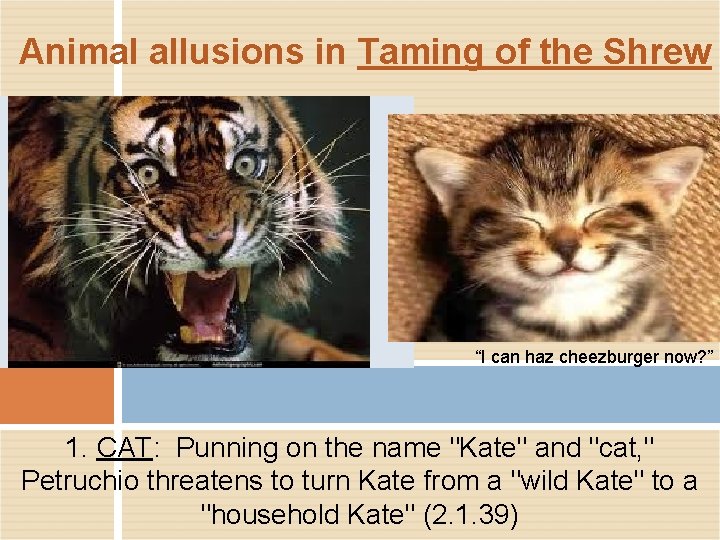 Animal allusions in Taming of the Shrew “I can haz cheezburger now? ” 1.