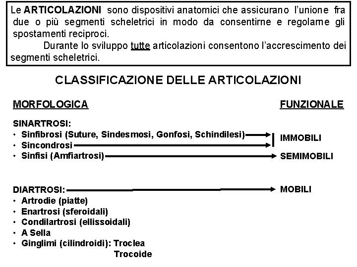 Le ARTICOLAZIONI sono dispositivi anatomici che assicurano l’unione fra due o più segmenti scheletrici