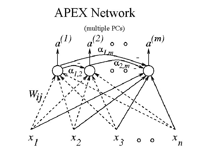 APEX Network (multiple PCs) 