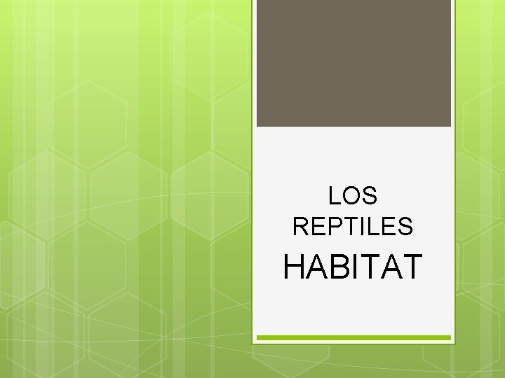 LOS REPTILES HABITAT 