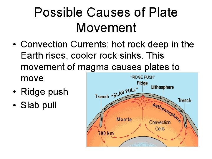 Possible Causes of Plate Movement • Convection Currents: hot rock deep in the Earth