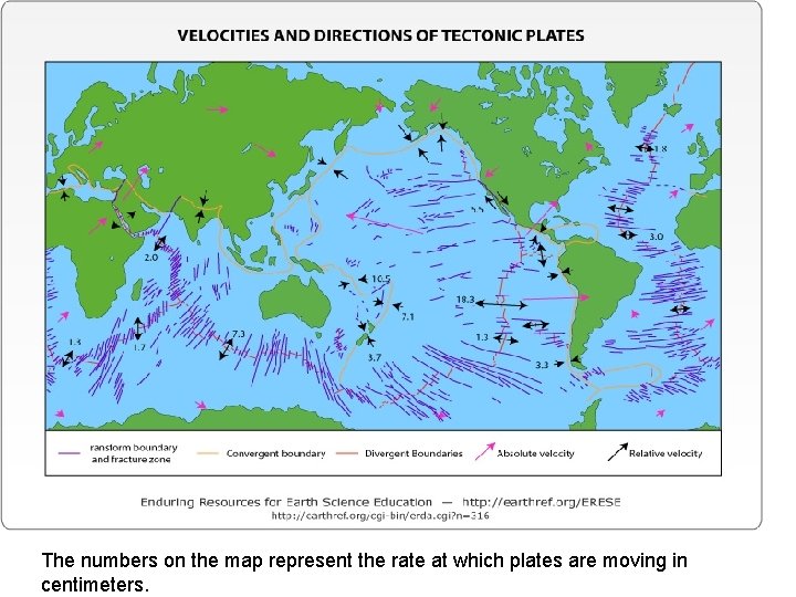 The numbers on the map represent the rate at which plates are moving in