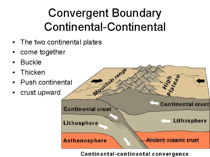Convergent Boundary Continental-Continental • • • The two continental plates come together Buckle Thicken