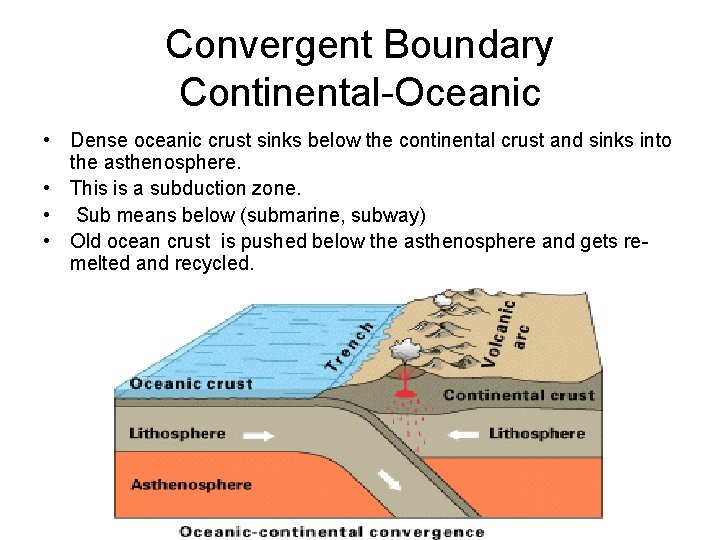 Convergent Boundary Continental-Oceanic • Dense oceanic crust sinks below the continental crust and sinks