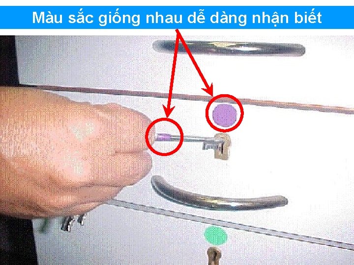 Màu sắc giống nhau dễ dàng nhận biết 