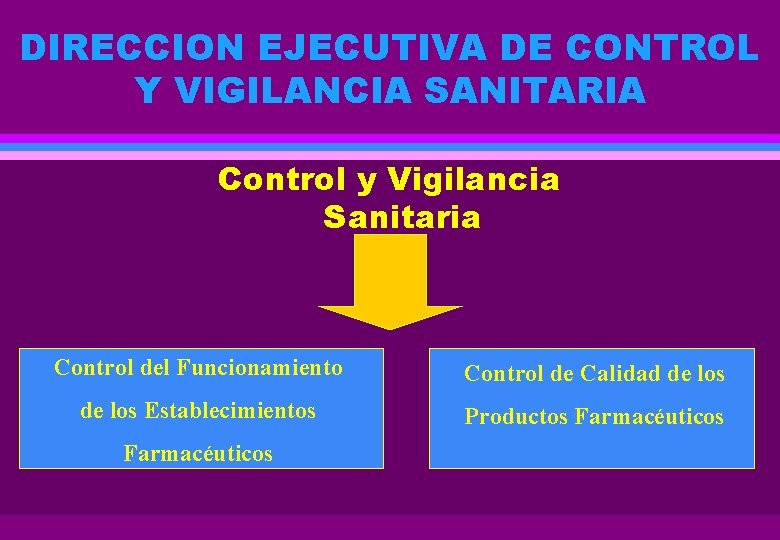 DIRECCION EJECUTIVA DE CONTROL Y VIGILANCIA SANITARIA Control y Vigilancia Sanitaria Control del Funcionamiento