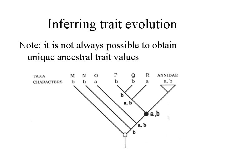 Inferring trait evolution Note: it is not always possible to obtain unique ancestral trait