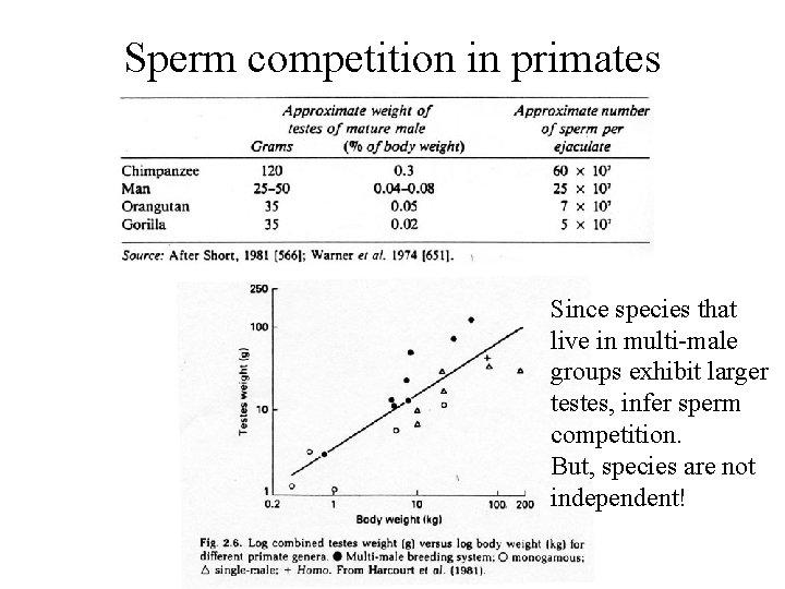 Sperm competition in primates Since species that live in multi-male groups exhibit larger testes,