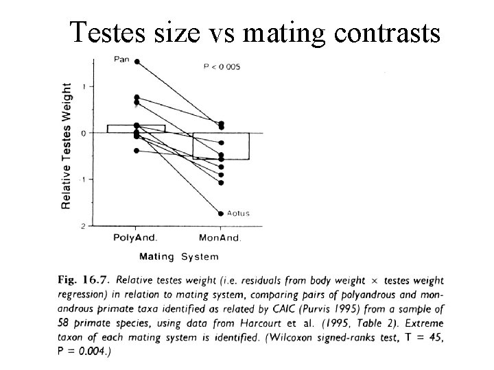 Testes size vs mating contrasts 