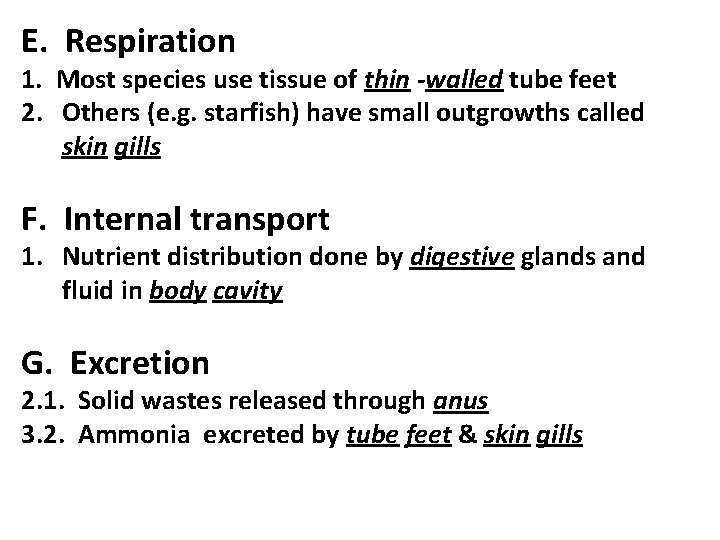 E. Respiration 1. Most species use tissue of thin -walled tube feet 2. Others E. Respiration 1. Most species use tissue of thin -walled tube feet 2. Others