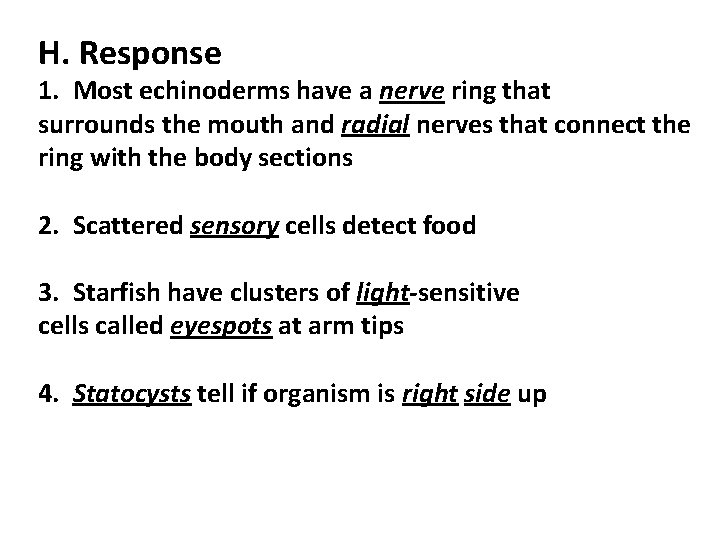 H. Response 1. Most echinoderms have a nerve ring that surrounds the mouth and H. Response 1. Most echinoderms have a nerve ring that surrounds the mouth and