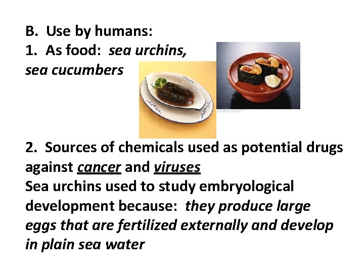 B. Use by humans: 1. As food: sea urchins, sea cucumbers 2. Sources of B. Use by humans: 1. As food: sea urchins, sea cucumbers 2. Sources of