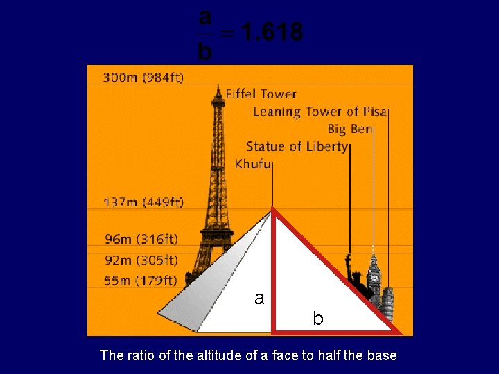 a b The ratio of the altitude of a face to half the base