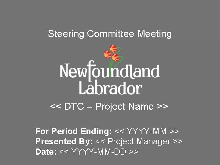 Steering Committee Meeting << DTC – Project Name >> For Period Ending: << YYYY-MM