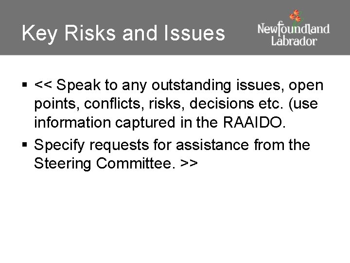 Key Risks and Issues § << Speak to any outstanding issues, open points, conflicts,