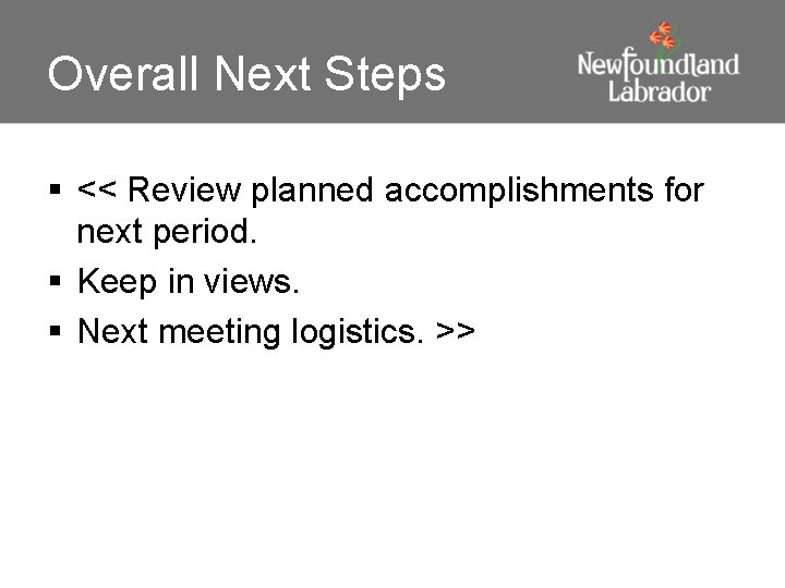 Overall Next Steps § << Review planned accomplishments for next period. § Keep in