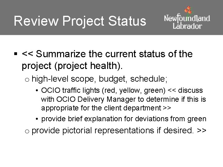 Review Project Status § << Summarize the current status of the project (project health).