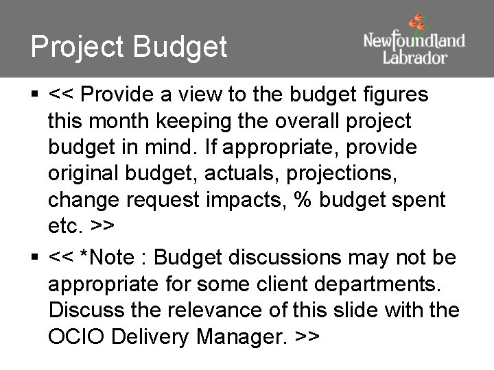 Project Budget § << Provide a view to the budget figures this month keeping