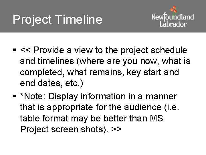 Project Timeline § << Provide a view to the project schedule and timelines (where