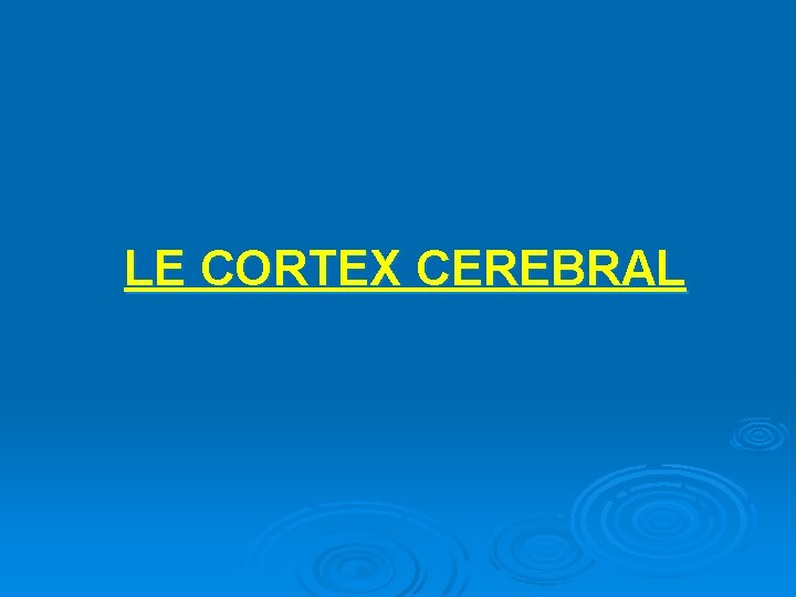 LE CORTEX CEREBRAL 