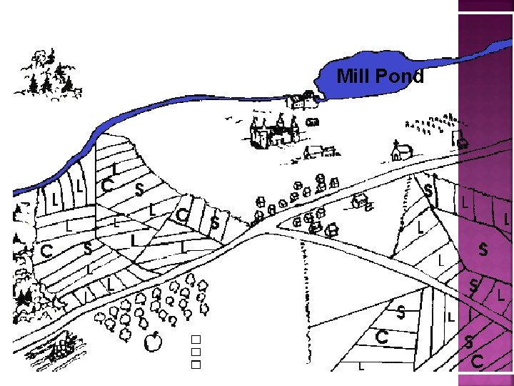 Mill Pond 